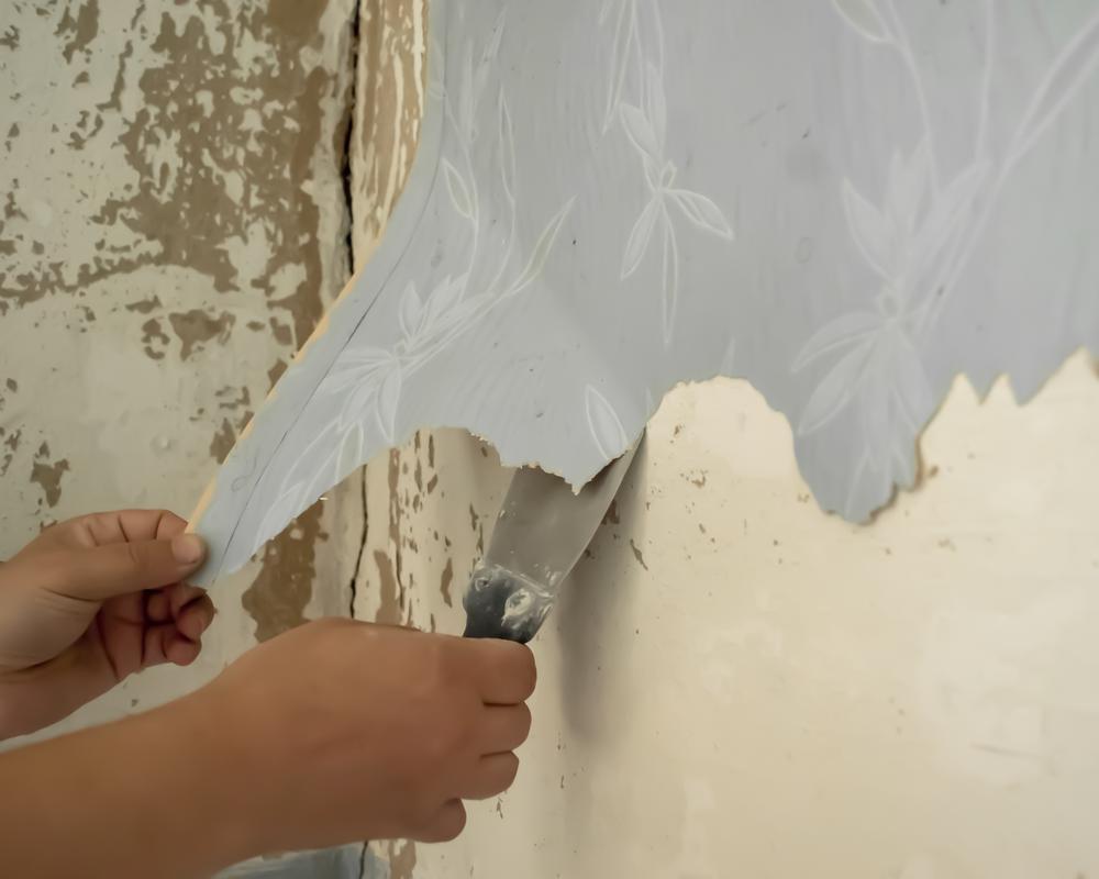 Dépose de papier peint leognan